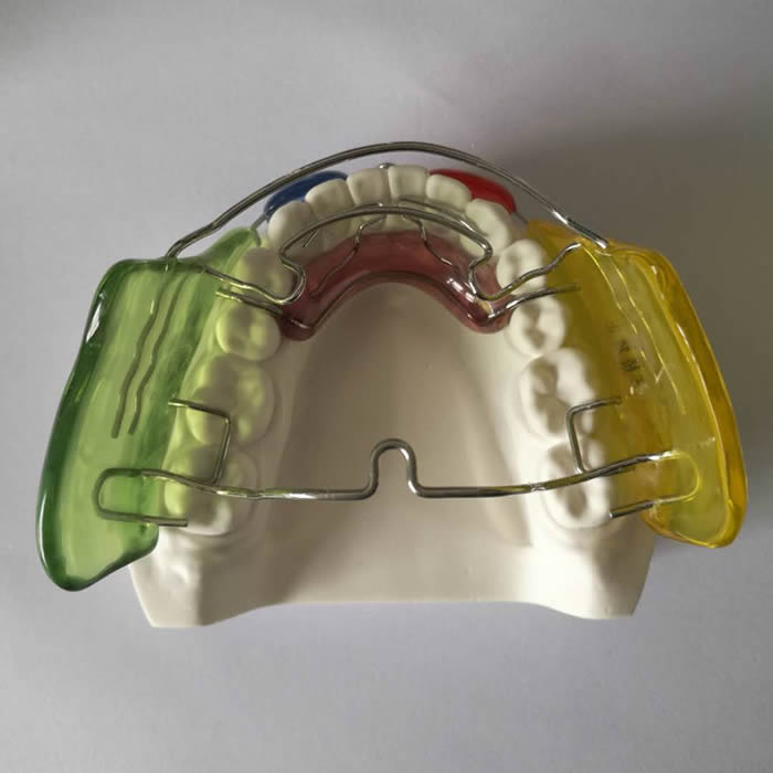 Orthodontic 02