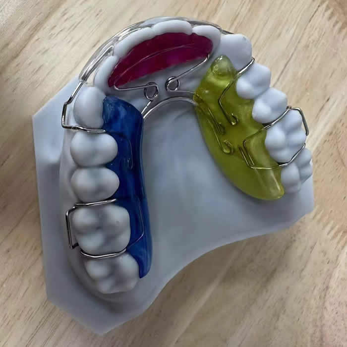 Orthodontic 11