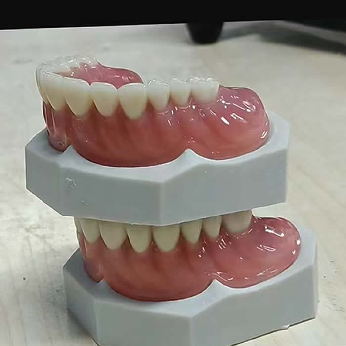 Acrylic Denture 04